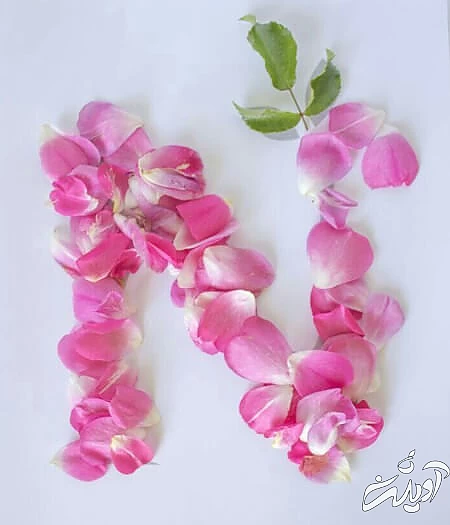 عکس های حرف N کارت تبریک حرف N, تصاویر پوسترهای حرف N, تصاویر پوستر حرف N